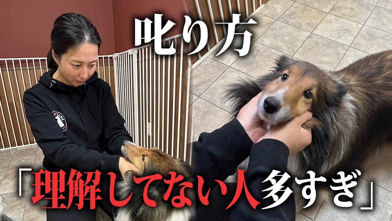 【叱る】とは一方的に押し付けることではなく“コミュニケーション”の一部です