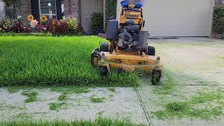 Grass Cutting