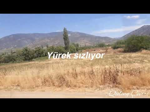 Mem Ararat - Dil Disoje (Türkçe Çeviri)