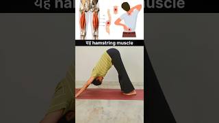 Bank Pain relief yoga #practice#yogaskills#fatloss#flexibility