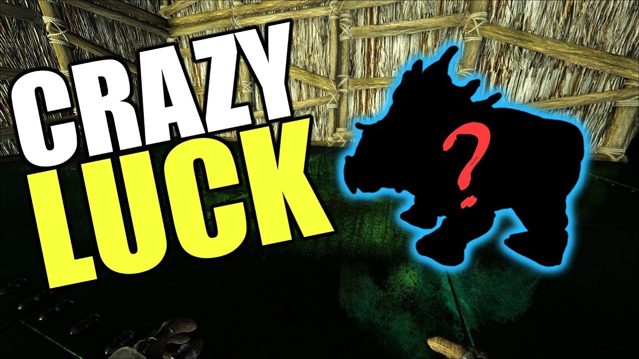 Crazy Luck With Trike Breeding! | ARK Official PVP Tribe Life Series | ARK: Survival Evolved | EP 40