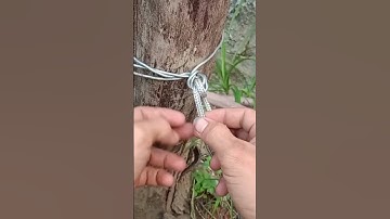 #diy, cách buộc dây đơn giản và chắc chắn nhất
