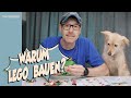 Hund, Hai, Papagei - warum immer mehr Erwachsene LEGO® und Klemmbausteine "entdecken" (Realtalk)