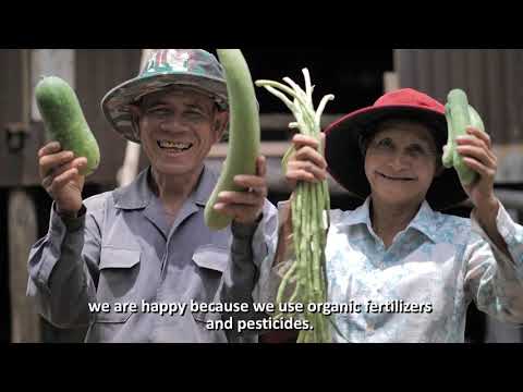 Vidéo: Stégosaures Du Cambodge - Vue Alternative