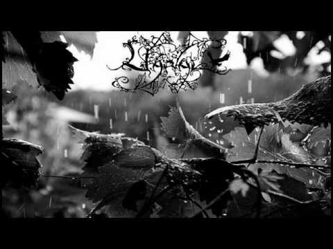 Surrendered To The Decadence Video