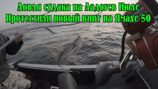 видео: Ловля судака на Ладоге в Июле. Креницы. Протестили новый винт на новом лодочном моторе Ямаха F50Letl картинка: Ловля судака на Ладоге в Июле. Креницы. Протестили новый винт на новом лодочном моторе Ямаха F50Letl