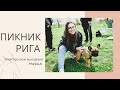 Выходные в Риге | Саулкрасты | пикник на Луцавсале