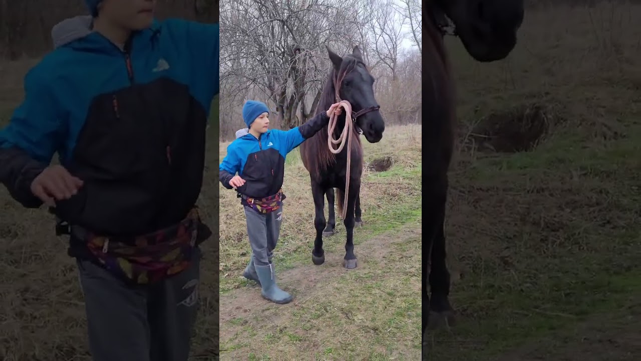 Ренат и Соломон