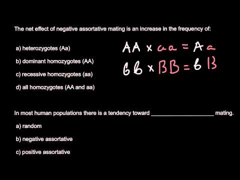 Video: Mengapa mengawan assortative positif?