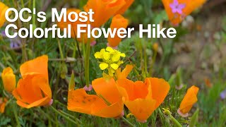 How to Hike Weir Canyon Trail