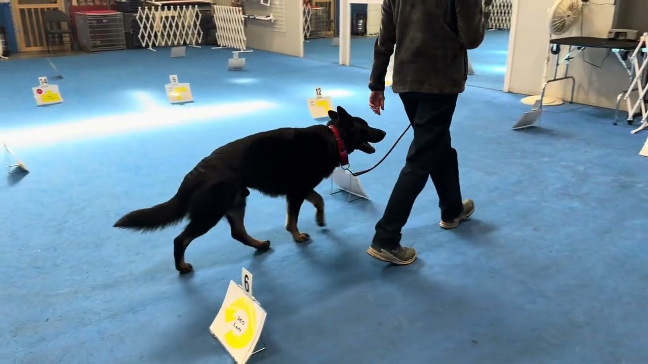 Radik Rally Intermediate course 3