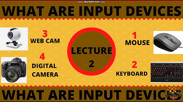 What are input devices?|Types of input devices?|Use of input devices?| in Hindi|in Urdu| in English