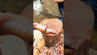 Master the Art of Pangas Fish Filleting | Live Step by Step Cuts Tutorial Guide In BD Market#shorts