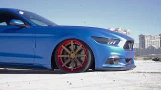 American Force Edition  2016 Mustang GT 5.0