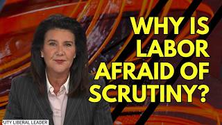 Why is Albo afraid of scrutiny?