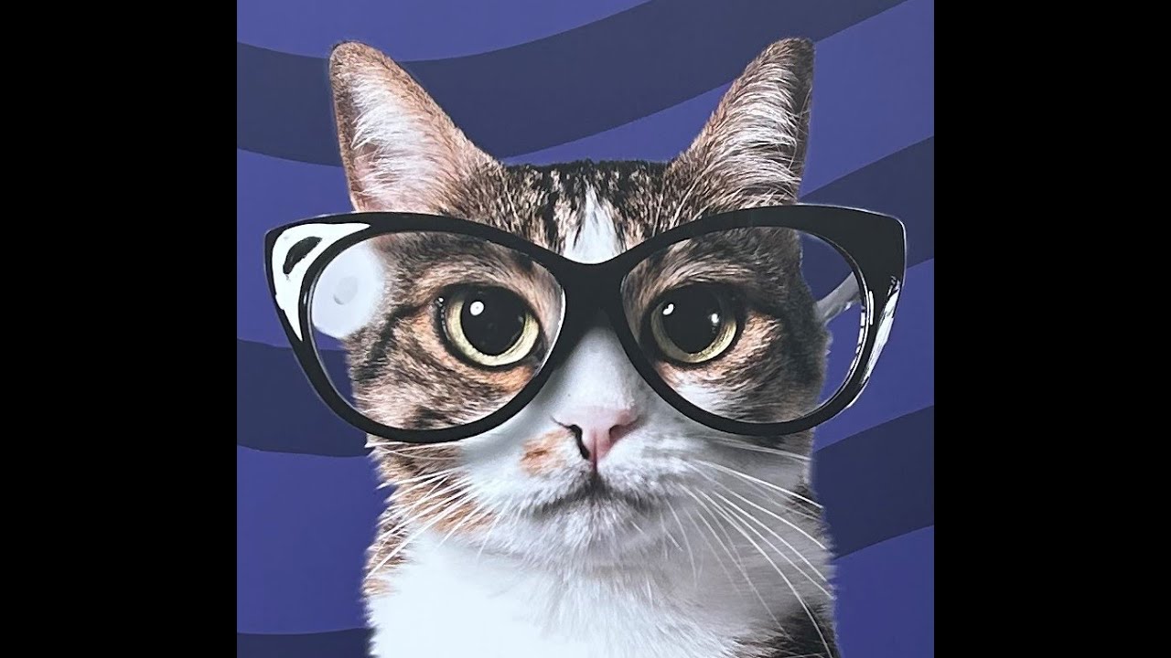 Kitty Rumble Krazy Kitty Rumble - YouTube