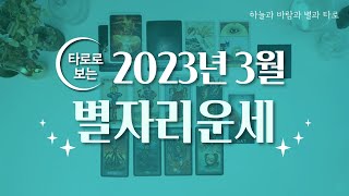 [타로/종합운] 2023년 3월 별자리운세