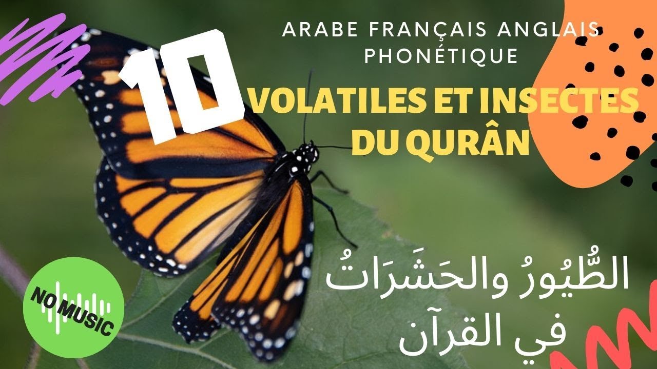 APPRENDRE L’ARABE 3 (Learn Arabic) 10 Volatiles et Insectes du Qurân — free download