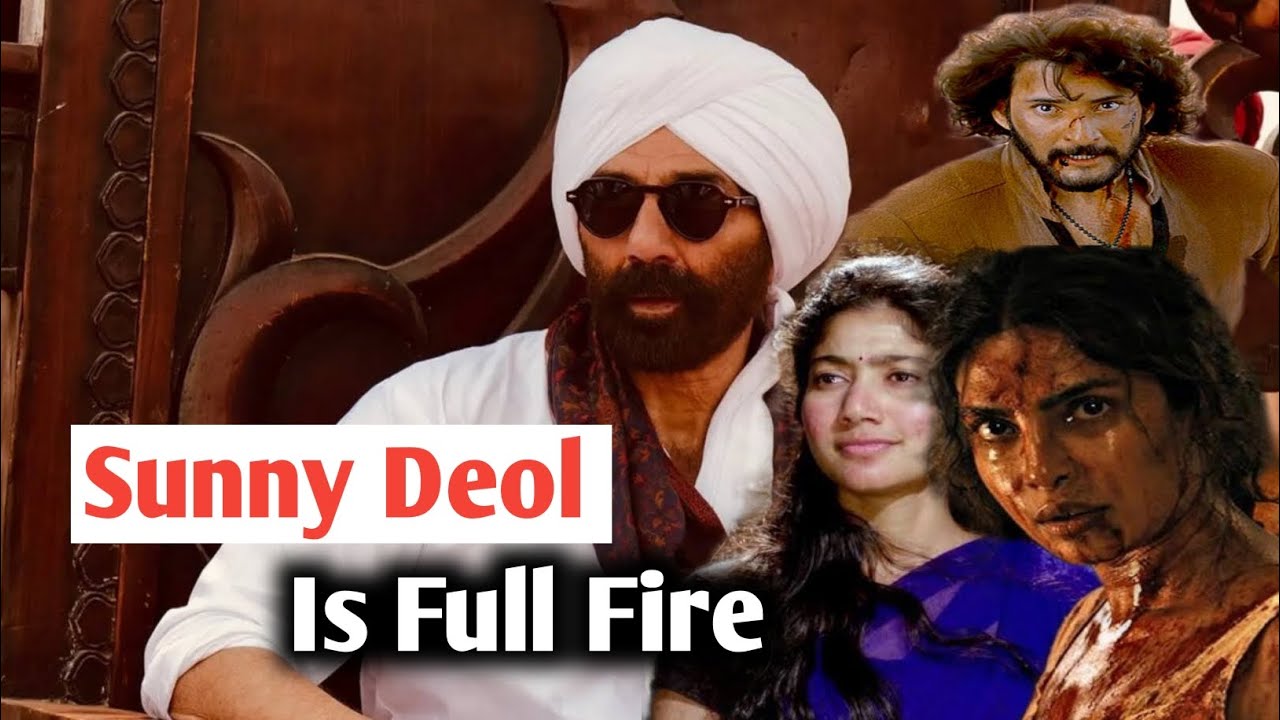 Sunny Deol Is Coming Back With Full And Fire🔥 | K talks | 
