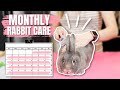 Monthly Rabbit Care