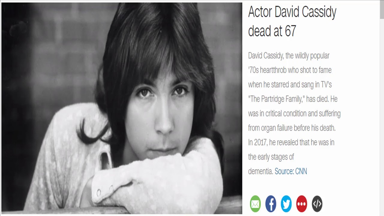 David Cassidy, The Partridge Family