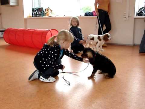 Video: Näpunäiteid, Kuidas õpetada Lapsi Lemmikloomade Eest Hoolitsema