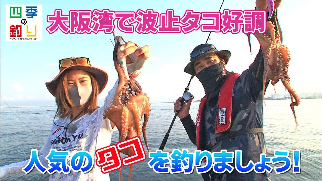大阪湾で波止タコ好調 人気のタコを釣りましょう 四季の釣り 21年8月13日放送 Youtube