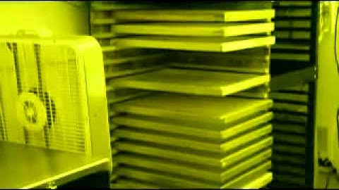 Kỹ thuật in lụa 360p   aothethao net