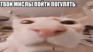 На Улице Дождь: