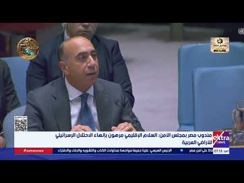 Egypt's Representative at the Security Council: Regional Peace is Conditional Upon Ending the Isr...