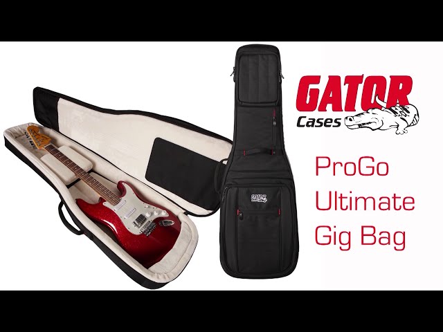 GIG THE PROFESSIONAL・ギター・ ソフトケースつき GIG THE PROFESSIONAL・ギター・ ソフトケースつき