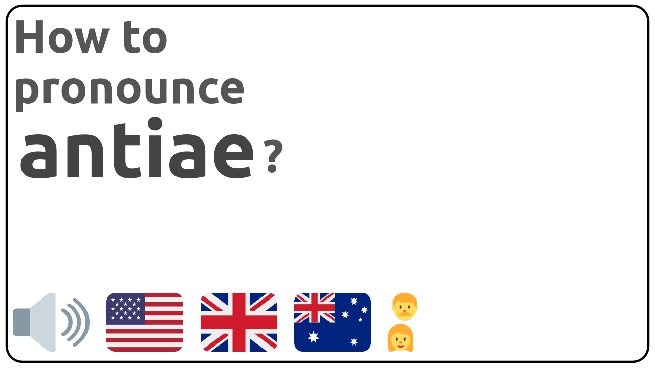 How to pronounce antiae in english?