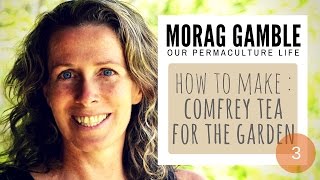 How To Make Comfrey Tea - Morag Gamble Our Permaculture Life