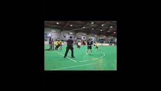 Box summer/spring highlights 