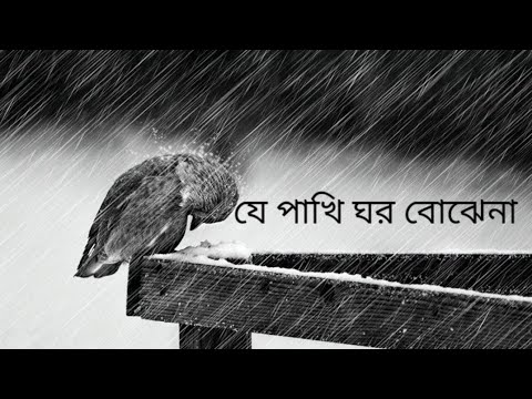 Je pakhi ghor bojhena   lyrics  The bird that does not understand the house   Soft Lyrics Sudhu Tomar Jonno Dhruba 