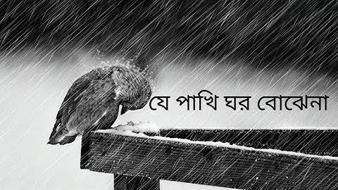 je pakhi ghor bojhena - lyrics | যে পাখি ঘর বােঝেনা -Soft Lyrics | Sudhu Tomar Jonno| Dhruba |