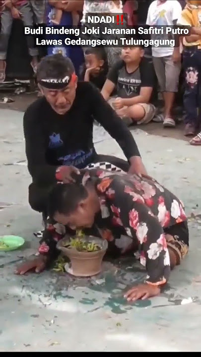 NDADI‼️Budi Bindeng Joki Jaranan Safitri Putro Lawas Gedangsewu Tulungagung #shorts #fyp #viral