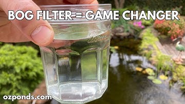 7 Reasons a Bog Filter Will Transform Your Pond| Crystal Clear Water on a Budget!