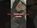 Men pajama👌#subscribe #shorts #short #shortsfeed #youtubeshorts #ytshorts #shortsvideo #shortvideo