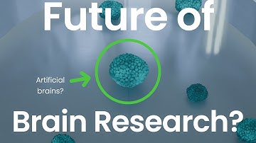 The Future of Neuroscience? (Cytokines and Organoids)