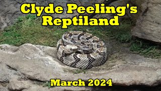 Clyde Peelings Reptiland March 2024