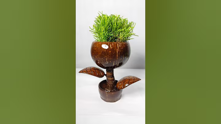 🌿Creative Coconut Shell plant pot  Ideas 🥥 | DIY Eco-Friendly Crafts #shorts #diy #shortsfeed