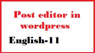 Post editor in wordpress English-11-vlr training