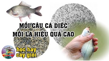 Chia Sẻ Bài Mồi Câu Cá Diếc Sông Suối Ao Hồ Tự Nhiên Siêu Hiệu Quả #caucatunhien