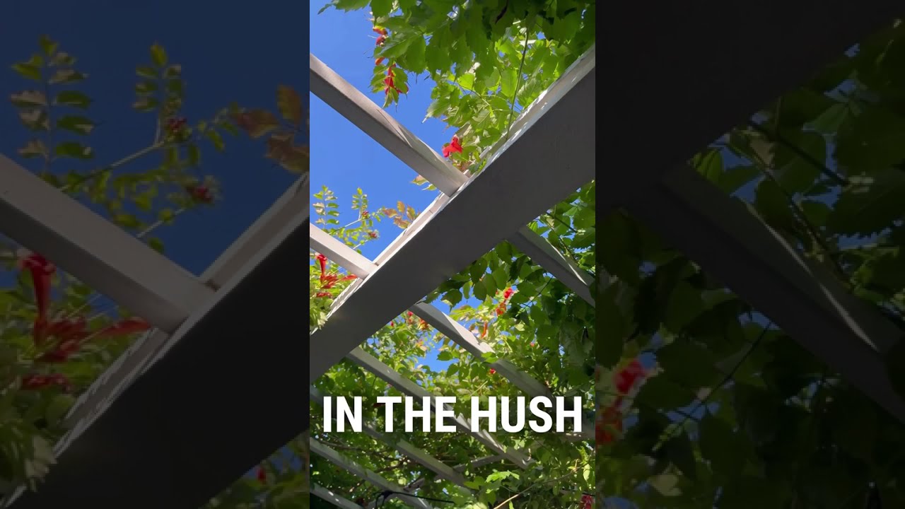 Love Letters (01-4/4@80) - Lyrics & Visuals by UNDA