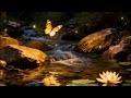 Soft Piano Peace with Calm Water Sounds for Gentle Peaceful Awareness #spiritualhealing