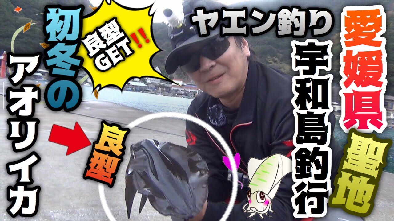 ヤエン釣り 初冬のアオリイカ釣り 聖地愛媛県宇和島釣行 海 沖 磯 川 湖 釣り動画まとめサイト 爆釣りマニア