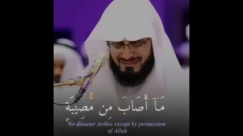 𝐑𝐚𝐚𝐝𝐚𝐥𝐤𝐨𝐮𝐫𝐝y | رعد الكردي أَلَا بِذِكْرِ اللَّهِ تَطْمَئِنُّ الْقُلُوبُ ۝ ➣  القارئ #رعد_الكردي