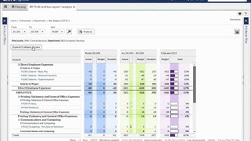 Unit4 Business World (Financial Information Center): Standard or tailored you choose