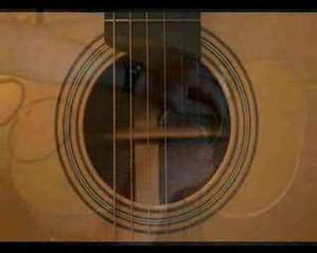 building acoustic ellis guitar guitars making  gitar akustik and custom recommended